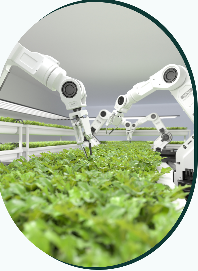 Robotics attending to hydroponics