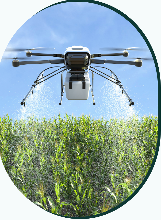 Drone attending to crops