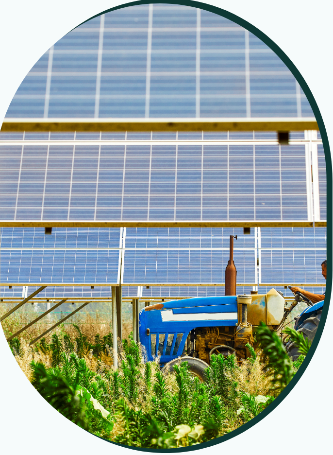 Solar panels plus tractor plus crops